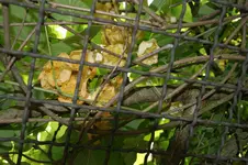DSC03164.webp