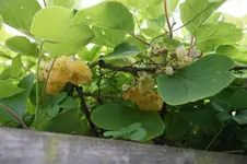 DSC03165.webp