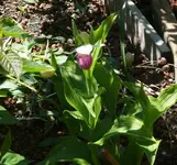 P1110461.webp