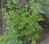 19062010765.webp