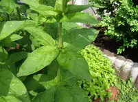 DSCF3531.webp