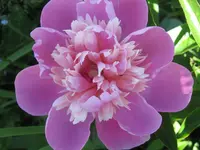 027.webp