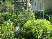 017.webp