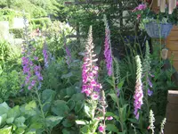 003.webp