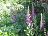 004.webp
