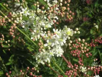 024.webp