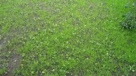 IMG_2040.webp