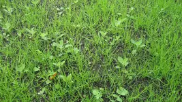 IMG_2041.webp