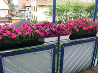 DSCF3543.webp