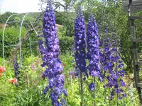 008.webp