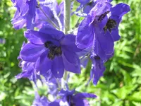 023.webp
