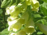018.webp
