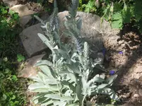 011.webp
