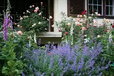 IMG_2039 - Kopie.webp