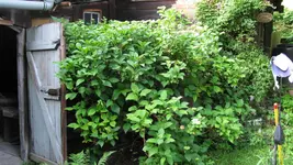 124.webp