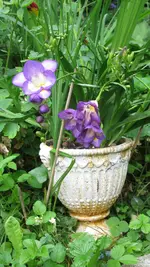 004.webp
