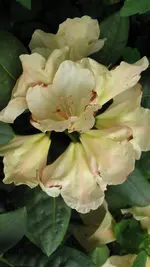 083.webp