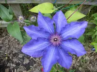 Garten 025.webp