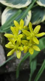 001.webp