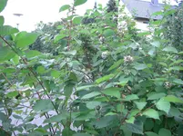 24.04.20010 1141.webp