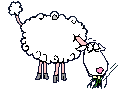 Schaf frisst.gif