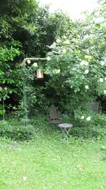 091.webp