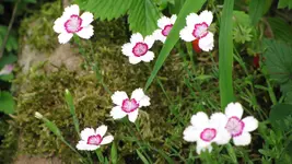 094.webp
