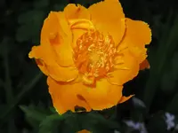 IMG_6311_1024x768.webp