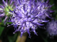 IMG_6312_1024x768.webp