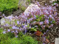 DSC02794 - Kopie.webp