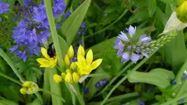 K800_Sommer 2010 008.webp