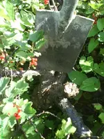 Garten 017 [640x480].webp