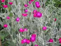 20.06.2007 030.webp