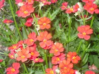 20.06.2007 036.webp