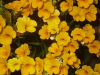 20.06.2007 042.webp
