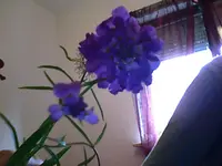Snapshot_20100616_4.webp