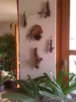 Bilder6.6.10 007.webp