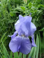 IMG_6306_576x768.webp