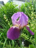 IMG_5792_576x768.webp