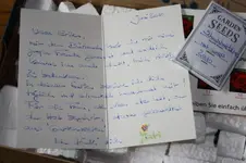 Netter Brief.webp