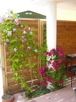 Bild 037.webp