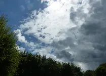 P1040122.webp
