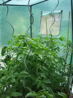 Bild 022.webp