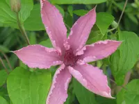002.webp