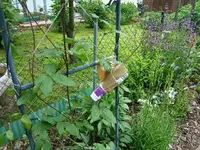 DSCF3547.JPG