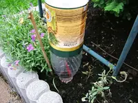 DSCF3548.webp