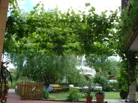 Theilheim 1.webp
