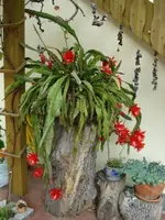 Theilheim 4.webp
