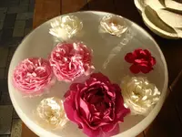 swimming roses.webp