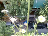 21062010711.webp